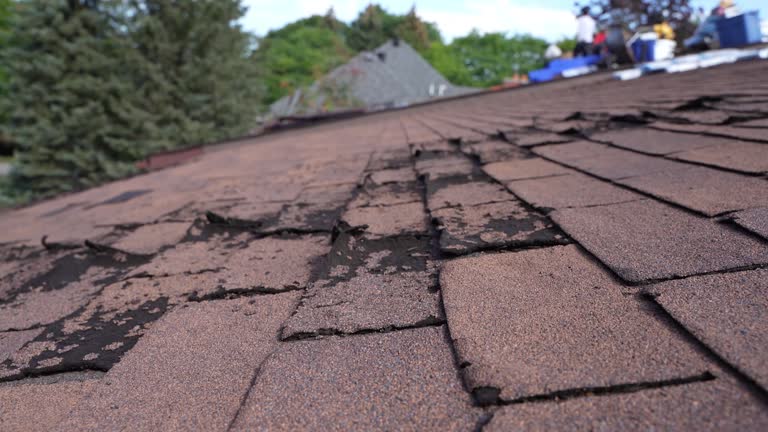South Lyon, MI Roofing Services Company